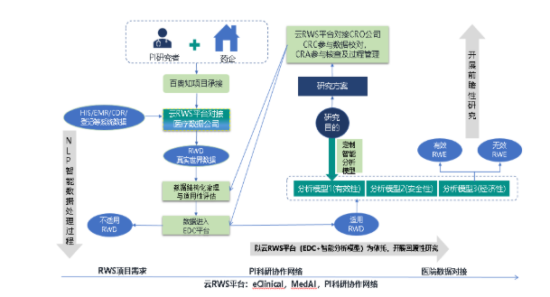 真实世界研究